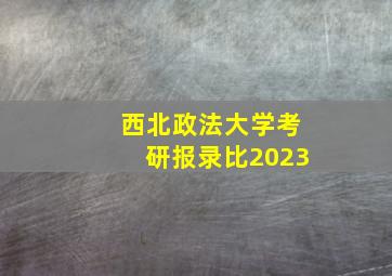 西北政法大学考研报录比2023