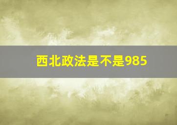 西北政法是不是985