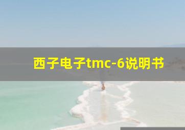 西子电子tmc-6说明书