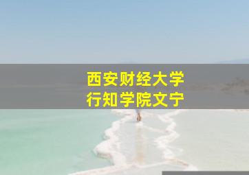 西安财经大学行知学院文宁