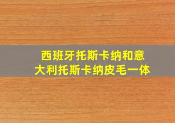 西班牙托斯卡纳和意大利托斯卡纳皮毛一体