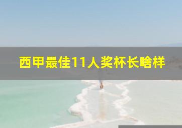 西甲最佳11人奖杯长啥样