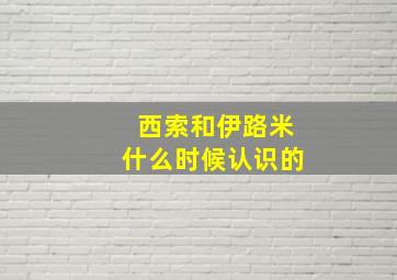 西索和伊路米什么时候认识的