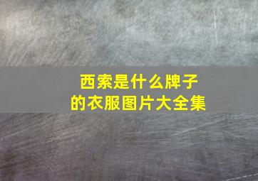 西索是什么牌子的衣服图片大全集