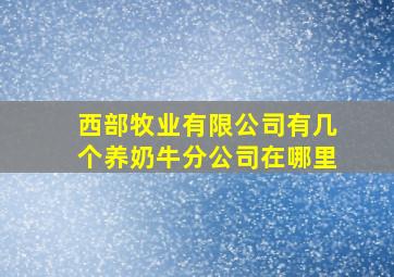 西部牧业有限公司有几个养奶牛分公司在哪里