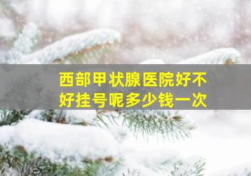 西部甲状腺医院好不好挂号呢多少钱一次