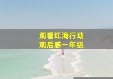 观看红海行动观后感一年级