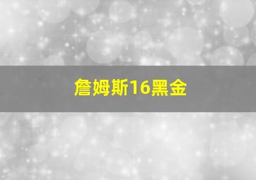 詹姆斯16黑金