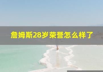 詹姆斯28岁荣誉怎么样了