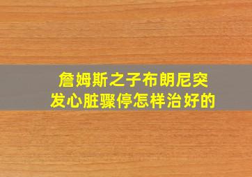 詹姆斯之子布朗尼突发心脏骤停怎样治好的