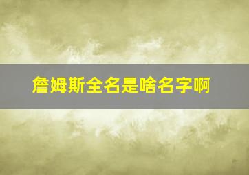 詹姆斯全名是啥名字啊