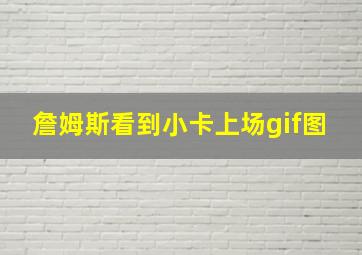 詹姆斯看到小卡上场gif图