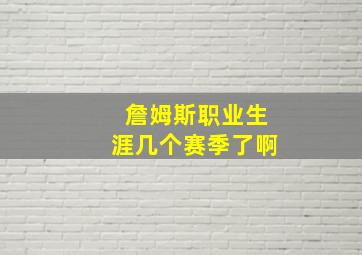 詹姆斯职业生涯几个赛季了啊