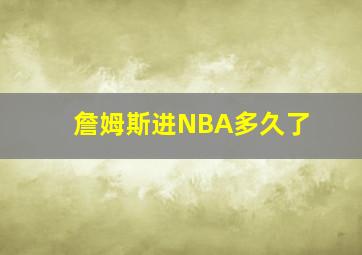 詹姆斯进NBA多久了