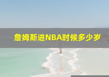 詹姆斯进NBA时候多少岁