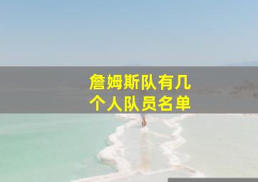 詹姆斯队有几个人队员名单