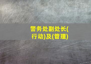 警务处副处长(行动)及(管理)