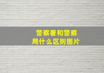 警察署和警察局什么区别图片