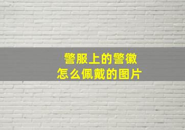 警服上的警徽怎么佩戴的图片