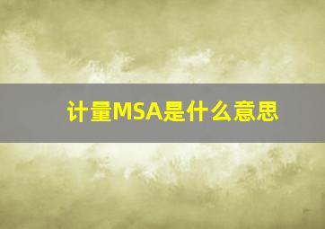 计量MSA是什么意思