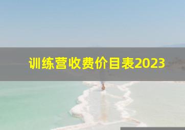 训练营收费价目表2023