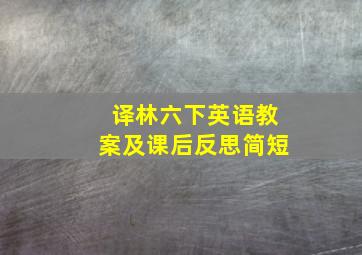 译林六下英语教案及课后反思简短