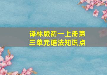 译林版初一上册第三单元语法知识点