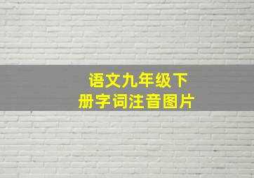 语文九年级下册字词注音图片