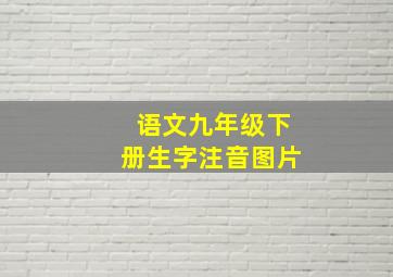 语文九年级下册生字注音图片