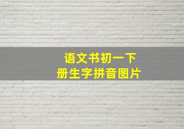 语文书初一下册生字拼音图片