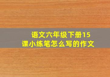 语文六年级下册15课小练笔怎么写的作文