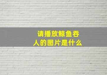 请播放鲸鱼吞人的图片是什么