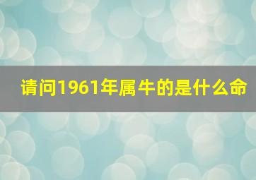 请问1961年属牛的是什么命