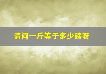 请问一斤等于多少磅呀