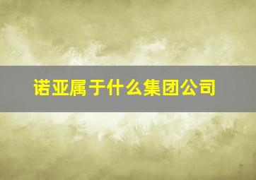 诺亚属于什么集团公司