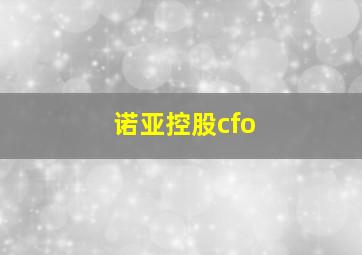 诺亚控股cfo