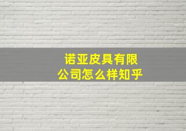 诺亚皮具有限公司怎么样知乎