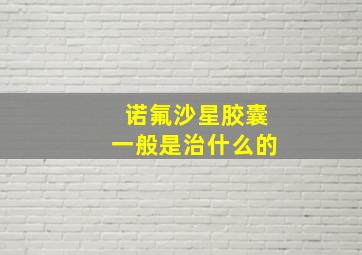 诺氟沙星胶囊一般是治什么的