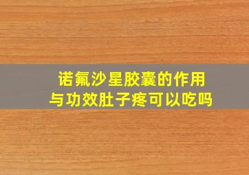 诺氟沙星胶囊的作用与功效肚子疼可以吃吗