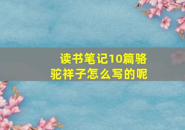 读书笔记10篇骆驼祥子怎么写的呢