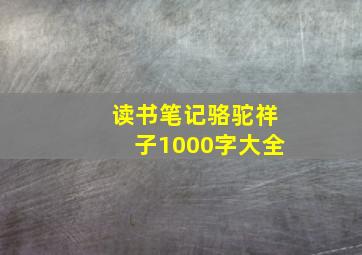 读书笔记骆驼祥子1000字大全