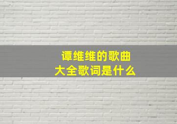 谭维维的歌曲大全歌词是什么