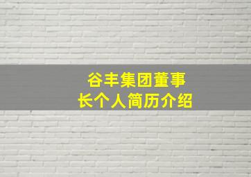 谷丰集团董事长个人简历介绍