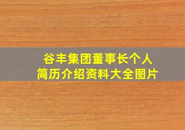 谷丰集团董事长个人简历介绍资料大全图片