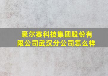 豪尔赛科技集团股份有限公司武汉分公司怎么样