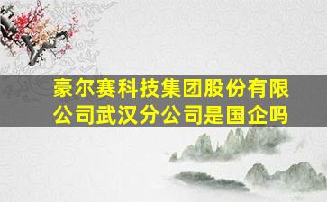 豪尔赛科技集团股份有限公司武汉分公司是国企吗