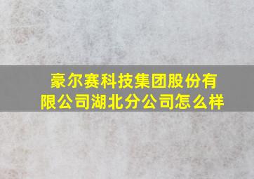 豪尔赛科技集团股份有限公司湖北分公司怎么样