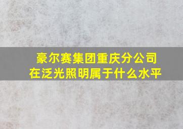 豪尔赛集团重庆分公司在泛光照明属于什么水平