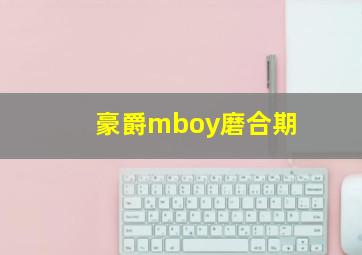 豪爵mboy磨合期