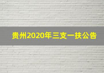 贵州2020年三支一扶公告